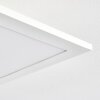 Antria Lampa Sufitowa LED Biały, 1-punktowy, Zmieniacz kolorów