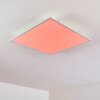 Antria Lampa Sufitowa LED Biały, 1-punktowy, Zmieniacz kolorów