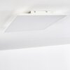 Antria Lampa Sufitowa LED Biały, 1-punktowy, Zmieniacz kolorów