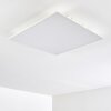 Antria Lampa Sufitowa LED Biały, 1-punktowy, Zmieniacz kolorów