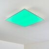 Antria Lampa Sufitowa LED Biały, 1-punktowy, Zmieniacz kolorów