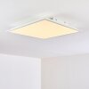 Antria Lampa Sufitowa LED Biały, 1-punktowy, Zmieniacz kolorów