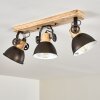 Lampa Sufitowa Orny Antracytowy, Jasne drewno, 3-punktowe