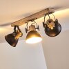 Lampa Sufitowa Orny Antracytowy, Jasne drewno, 3-punktowe