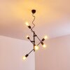 Coppet Lampa Wisząca Czarno-złoty, 6-punktowe