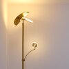 Cazis Lampa Stojąca LED Mosiądz, 1-punktowy