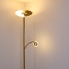 Cazis Lampa Stojąca LED Mosiądz, 1-punktowy