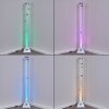 Wanas Lampa Stojąca LED Tytan, 1-punktowy, Zmieniacz kolorów