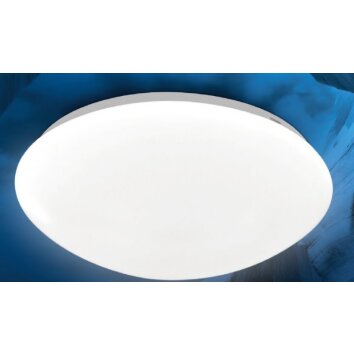Globo KIRSTEN lampa sufitowa LED Biały, 24-punktowe