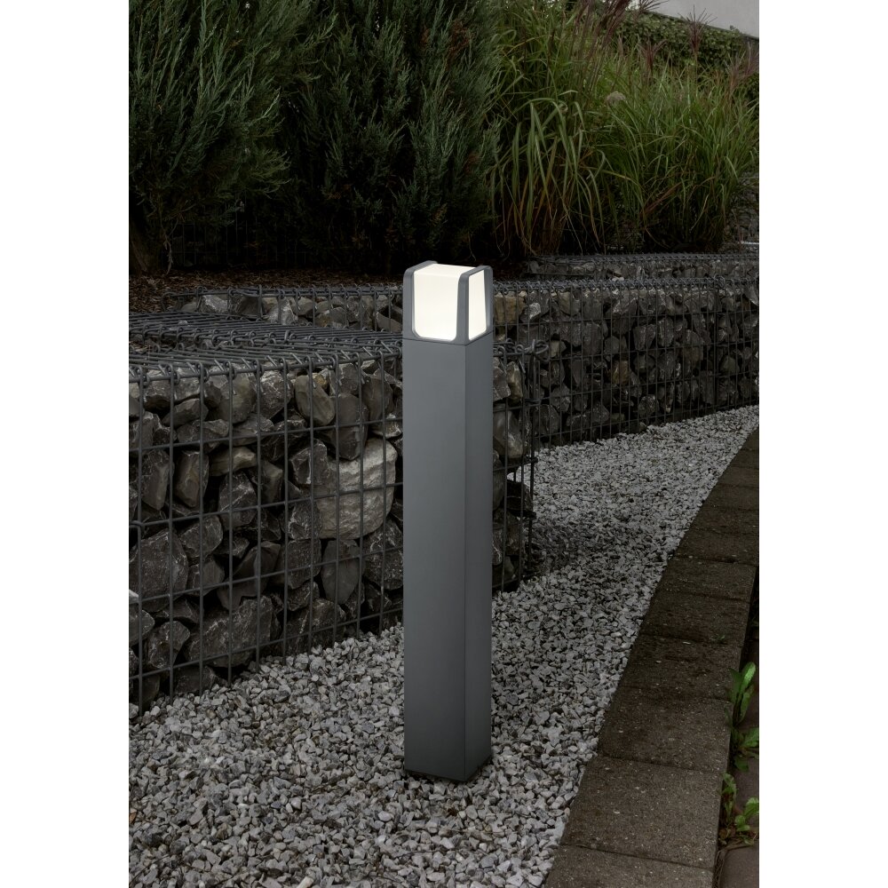 Trio EBRO Lampa Stojąca LED Antracytowy, 1-punktowy main product photo