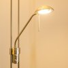 Rom lampa stojąca oświetlająca sufit LED Nikiel matowy, 2-punktowe