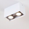 Awuna Lampa Sufitowa Biały, 2-punktowe