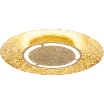 Globo Tabea Lampa Sufitowa LED Złoty, 1-punktowy