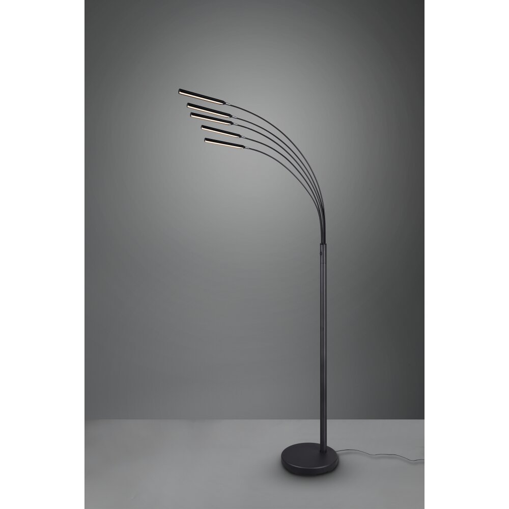 Reality Reed Lampa Stojąca LED Czarny, 5-punktowe main product photo