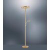 Paul Neuhaus MARTIN Lampa Stojąca LED Mosiądz, 1-punktowy