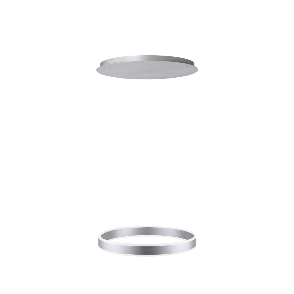 Paul Neuhaus ARINA Lampa Wisząca LED Stal nierdzewna, 2-punktowe, Czujnik ruchu main product photo
