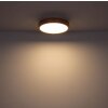 Globo WEDIO Lampa Sufitowa LED, 1-punktowy, Zdalne sterowanie