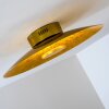 Nipissing lampa sufitowa LED Złoty, 1-punktowy