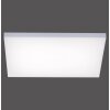 Paul Neuhaus Q-FLAG Lampa Sufitowa LED Biały, 1-punktowy, Zdalne sterowanie, Zmieniacz kolorów