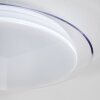 Bleik Lampa Sufitowa LED Biały, 1-punktowy, Zdalne sterowanie
