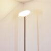 Wonsbek Lampa Stojąca LED Nikiel matowy, 1-punktowy
