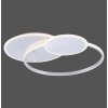 Paul Neuhaus EMILIO Lampa Sufitowa LED Srebrny, 1-punktowy, Zdalne sterowanie