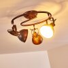Lampa Sufitowa Tina Rdzawy, 3-punktowe Lampa Sufitowa Tina Rdzawy, 3-punktowe