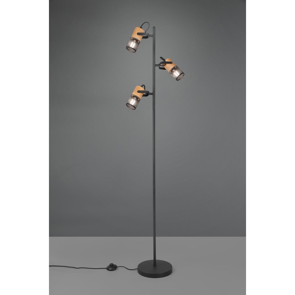 Trio Tosh Lampa Stojąca LED Czarny, 3-punktowe main product photo