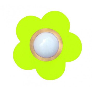 Waldi Fleur petit lampa sufitowa Zielony, 1-punktowy