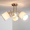 Stai Lampa Sufitowa Nikiel matowy, 3-punktowe
