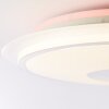 Brilliant Viktor Lampa Sufitowa LED Srebrny, Biały, 1-punktowy, Zdalne sterowanie, Zmieniacz kolorów
