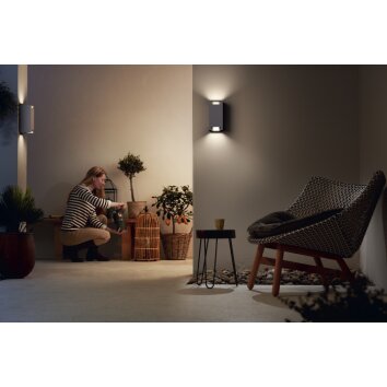 Philips Trowel Zewnętrzny kinkiet Chrom, 2-punktowe